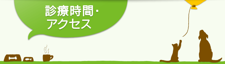   診療時間・ アクセス