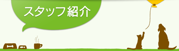   スタッフ紹介