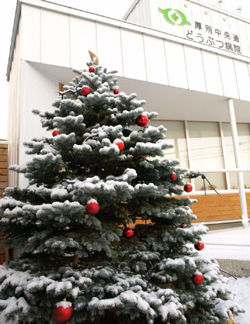 2010クリスマスツリー