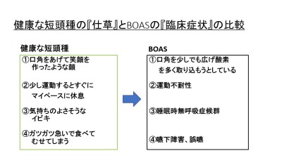 Slide2